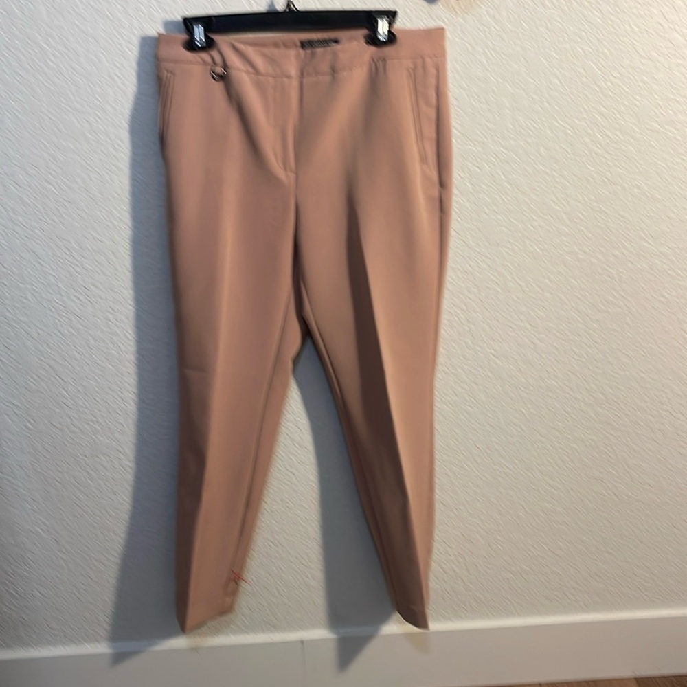 Women’s size 10 Adrianna Papell tan pants.